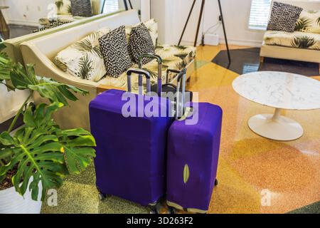 Vue rapprochée de deux valises dans des housses de protection violettes dans le hall de l'hôtel sur fond d'étage. Miami Beach. ÉTATS-UNIS. Banque D'Images
