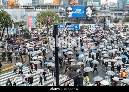 Tokyo, Shibuya, Japon : rue Shibuya traversant l'une des attractions de Tokyo. Des milliers de personnes traversent la rue de différentes directions Banque D'Images