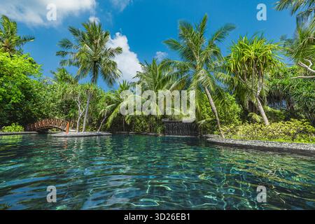 Piscine tropicale de luxe avec cascade, palmiers, paysage de jardin exotique, paradis de vacances serein Banque D'Images