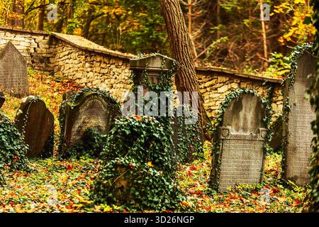 Le cimetière juif est situé à un kilomètre à l'est de la ville de Luze, dans le district de Chrudim, dans la région de Pardubice, en République tchèque Banque D'Images