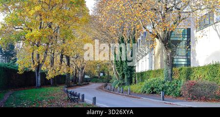 Vue latérale du bâtiment de cricket du comté de Glamorgan (Criced Morgannwg), jardins de Sophia, centre-ville de Cardiff, pays de Galles du Sud, Royaume-Uni. Automne. Prise en octobre 2025 Banque D'Images