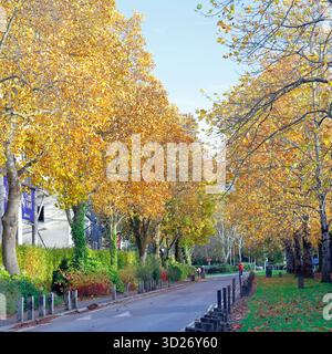 Scène d'automne avec vue latérale du bâtiment de cricket du comté de Glamorgan (Criced Morgannwg), jardins de Sophia, Cardiff .. Automne. Prise en octobre 2025 Banque D'Images