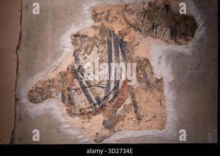 Le scorpion, XIIe siècle, église pré-romane de San Quirico de Pedret, Bergueda, Musée diocésain et régional de Solsona, Lleida, Catalogne, Espagne. Banque D'Images