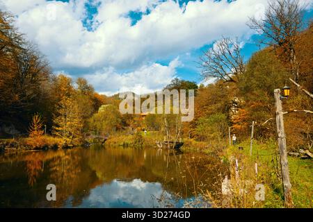 Une belle journée d'automne avec un lac en arrière-plan. Le ciel est nuageux, mais le soleil brille encore à travers. Les arbres sont pleins de feuilles, et le w Banque D'Images