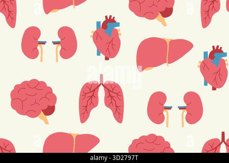 Modèle transparent des organes internes humains : avec le cœur, le cerveau, les poumons, les reins et le foie ; parfait pour le matériel éducatif, les milieux de la santé Illustration de Vecteur