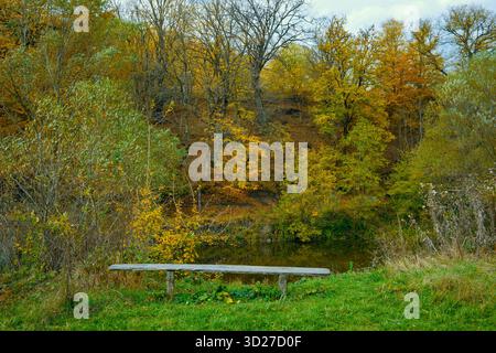Un banc se trouve dans un champ herbeux avec des arbres en arrière-plan. Le banc est vide et les arbres sont pleins de feuilles. La scène est paisible et sereine, wi Banque D'Images