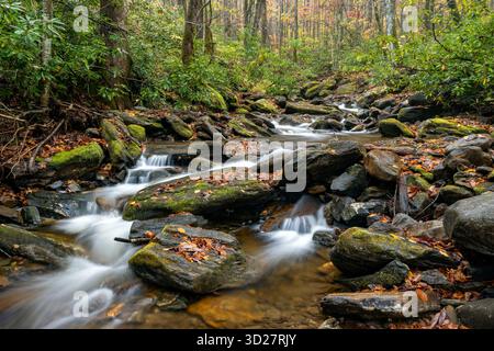 Cascade paisible en automne - Pisgah National Forest, Brevard, Caroline du Nord, États-Unis Banque D'Images