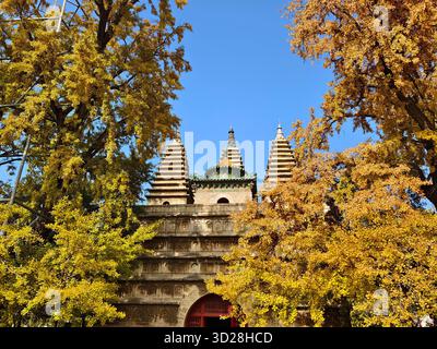 Pékin, Chine. 31 octobre 2025. Cette photo prise par un téléphone portable le 31 octobre 2025 montre une vue du temple Wuta (cinq pagodes) à Pékin, capitale de la Chine. Crédit : Xu Jinquan/Xinhua/Alamy Live News Banque D'Images
