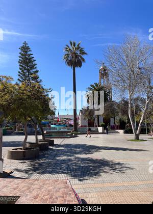 Ambrosio O’Higgins Square à Vallenar, Chili. Petite ville dans la vallée de Huasco, dans la région d'Atacama. Place principale avec palmiers, bancs, église. Banque D'Images