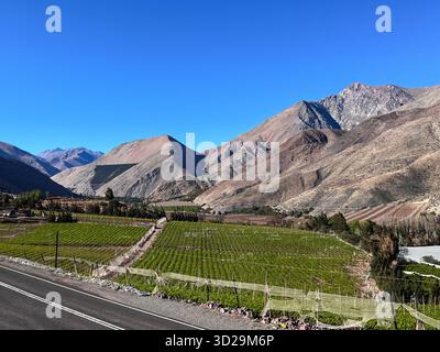 Vue panoramique du paysage depuis le point de vue de Paihuano dans la vallée d'Elqui, Chili. vue panoramique de vignobles verdoyants entourés de montagnes arides des Andes Banque D'Images