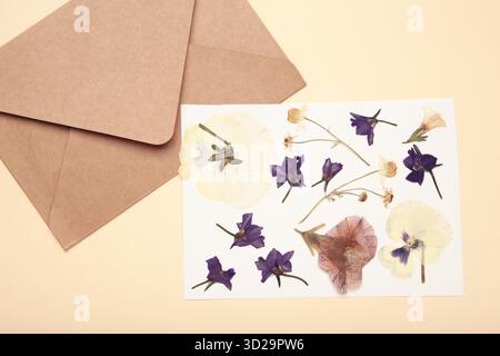 Fleurs pressées et séchées avec de la ficelle sur fond beige. Banque D'Images