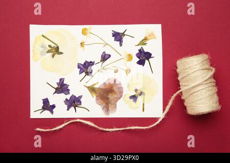 Fleurs pressées et séchées avec de la ficelle sur fond rouge. Banque D'Images