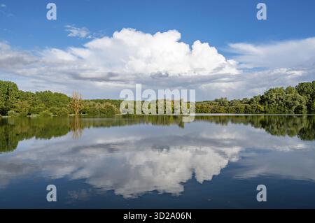 Paysage naturel à l'étang de Fouquenies, un lac de pêche près de Beauvais. Le motif montre une eau semblable à un miroir reflétant les arbres denses Banque D'Images