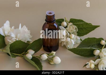 Une bouteille de médicament en verre brun avec un compte-gouttes avec de l'huile essentielle organique de fleurs de jasmin sur un fond pastel. spa. aromathérapie Banque D'Images