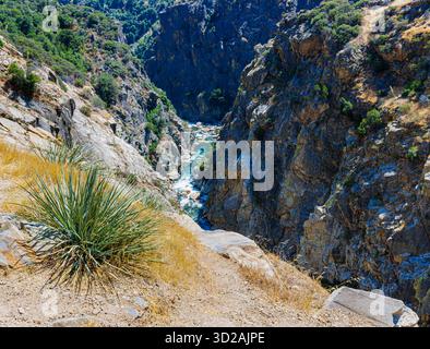 Parois escarpées du canyon avec la rivière Kings à Kings Canyon, forêt nationale de Sequoia, Californie, États-Unis Banque D'Images