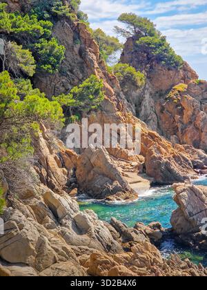 Côte accidentée avec de hautes falaises parsemées de pins verts et de broussailles, et l'eau turquoise vibrante de la crique cachée avec de petites vagues doucement w Banque D'Images