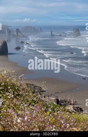 Les fleurs poussent au-dessus des piles de mer, Bandon, Oregon Banque D'Images