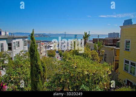 Vue depuis le haut des escaliers Filbert Street, San Francisco Banque D'Images