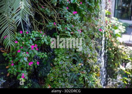 Accent sélectif sur les petites fleurs roses poussant à côté d'une cascade humide avec mousse verte cascade artificielle dans le jardin décorant le jardin à regarder Banque D'Images