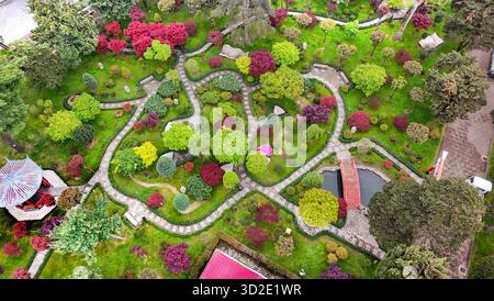 Une vue drone sur le JARDIN JAPONAIS À Batumi avec des feuilles rouges d'érables japonais (en mai !), des allées de jardin en pierre, des lanternes et des sièges en pierre (ou couchés Banque D'Images