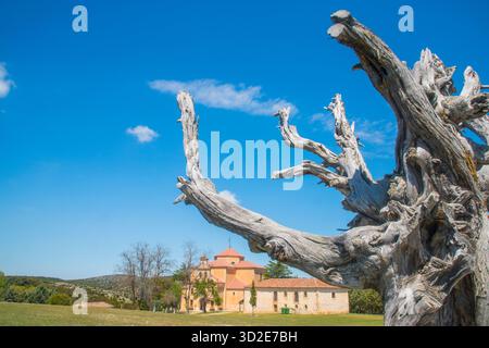Vieille église de Juniper tree et. Moral de Hornuez, province de segovia, Castilla Leon, Espagne. Banque D'Images