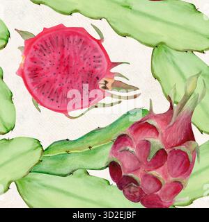 Fruit du dragon, tiges de cactus motif aquarelle sans couture isolé sur blanc. Clip art tropical parfait pour le tissu, l'emballage, la conception d'été, la nourriture saine Banque D'Images