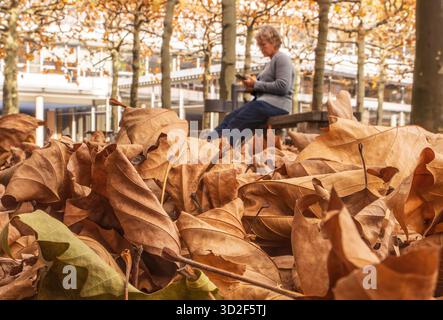 Rentnerin sitzt auf einer Parkbank, Herbstlaub bedeckt den Boden, München, novembre 2025 Deutschland, München, novembre 2025, Seniorin sitzt im Park auf einer Bank und gest im Handy, der Boden ist mit Herbstlaub bedeckt, Symbolfoto Mütterrente, Generationengerechtigkeit, Rentenpaket, RentenReform, rente, Leben im alter, ausruhen, Ruhe, Bewegung im alter, Herbst, Bayern *** retraité assis sur un banc de parc, les feuilles d'automne couvrent le sol, Munich, novembre 2025 Allemagne, Munich, novembre 2025, la personne âgée est assise sur un banc dans le parc et lit sur son téléphone portable, le sol est couvert avec l'automne Banque D'Images