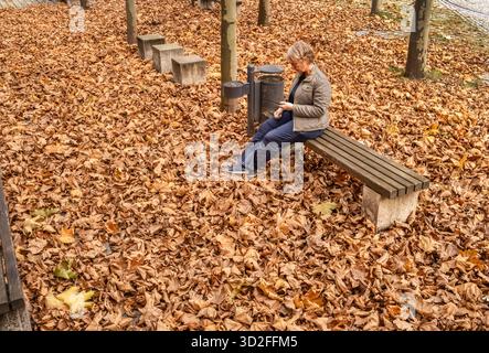 Rentnerin sitzt auf einer Parkbank, Herbstlaub bedeckt den Boden, München, novembre 2025 Deutschland, München, novembre 2025, Seniorin sitzt im Park auf einer Bank und gest im Handy, der Boden ist mit Herbstlaub bedeckt, Symbolfoto Mütterrente, Generationengerechtigkeit, Rentenpaket, RentenReform, rente, Leben im Alter, Herbst des Lebens, Herbst, Bayern *** pensionné assis sur un banc de parc, les feuilles d'automne couvrent le sol, Munich, novembre 2025 Allemagne, Munich, novembre 2025, la personne âgée est assise sur un banc dans le parc et lit sur son téléphone portable, le sol est couvert de feuilles d'automne, symboli Banque D'Images