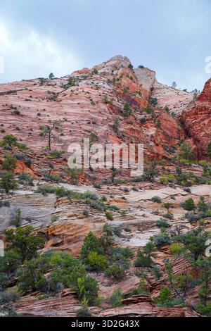 Les crêtes de grès en couches et la végétation dispersée s’élèvent vers le sommet près d’Angel’s Landing sous un ciel nuageux. Banque D'Images