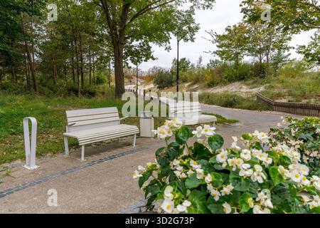 Des bancs blancs modernes de parc et un bac sont positionnés sur une zone pavée près d'une forêt et d'un chemin sablonneux menant au-dessus des dunes côtières, avec des fleurs à l'avant Banque D'Images