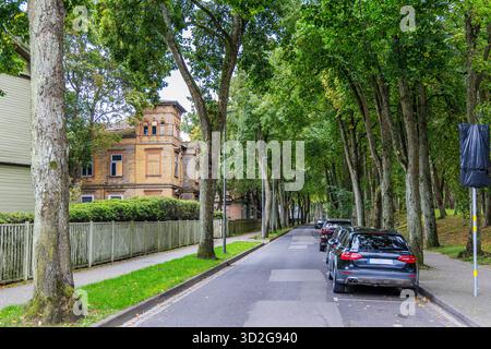 Une large rue bordée d'arbres avec des voitures garées et des trottoirs, avec un vieux bâtiment en bois peint en jaune avec une tour distinctive dans le backgr Banque D'Images
