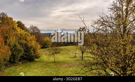 La photographie capture un paysage serein avec un large pré herbeux en pente douce vers le haut. La prairie est bordée par des arbres d'automne denses displa Banque D'Images