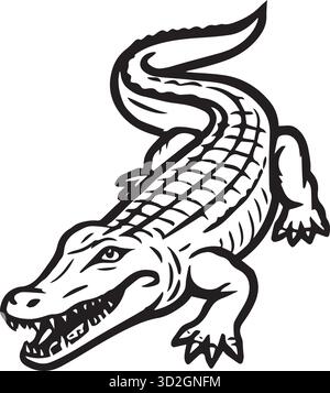 crocodile de dessin animé isolé sur blanc. Illustration de Vecteur