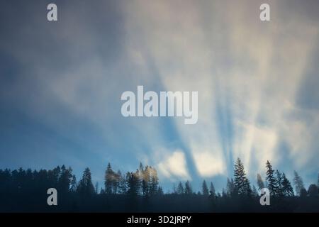 Des faisceaux de lumière et d'ombres se sont formés au-dessus d'une crête de forêt de montagne avec le soleil se levant derrière, brume matinale Banque D'Images