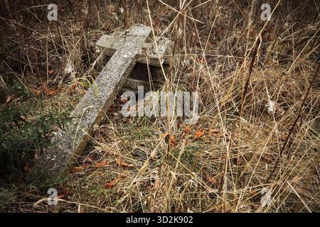 Tombes dans le cimetière envahi par la végétation à Skeffling, East Riding of Yorkshire. Banque D'Images