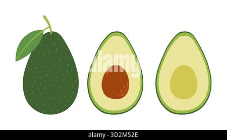 Set avocat. Fruits d'avocat entiers et moitiés avec noyau et fosse. Illustration vectorielle plate colorée dessinée à la main isolée sur fond blanc. Illustration de Vecteur