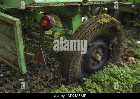 Vue détaillée, remorque, cassé, pourriture, mousse sur les pneus, roue, feu arrière, Oberstenfeld, Bottwartal, Loewensteiner berge, Bade-Wuertemberg, Allemagne Banque D'Images