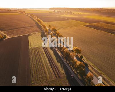 Vue aérienne d'une route traversant des champs d'automne, Nagold, Forêt Noire, Allemagne Banque D'Images