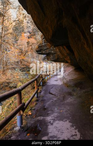 Paysage d'automne serein avec randonneur profitant d'un sentier de canyon forestier tranquille. Banque D'Images