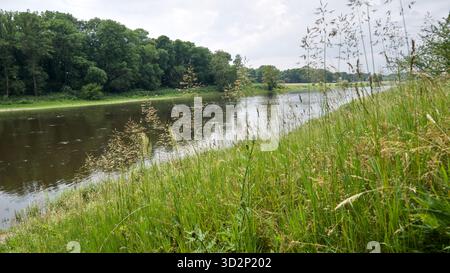 Vue sur l'Elbe qui coule en aval de Pillnitz vers Dresde, avec des eaux calmes et des paysages riverains. Banque D'Images