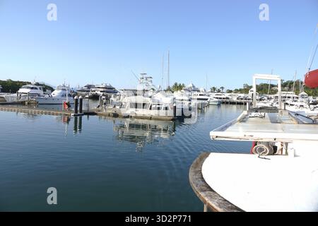 Port Douglas, Queensland, Australie 3 octobre 2025 la marina et le port intérieur de Port Douglas, Queensland, Australie Banque D'Images