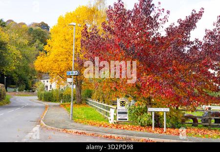 Maldwyn Way, Montgomery, Powys, pays de Galles, avec de belles couleurs d'automne exposées. Photo en octobre 2025. Banque D'Images