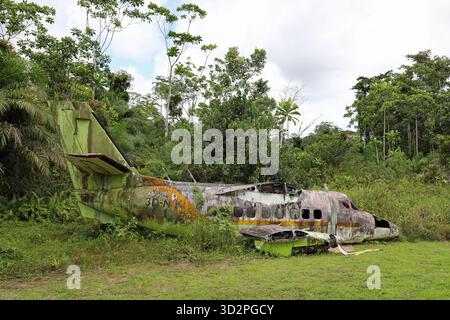 Restes d'un avion écrasé dans la forêt tropicale de Guinée équatoriale Banque D'Images