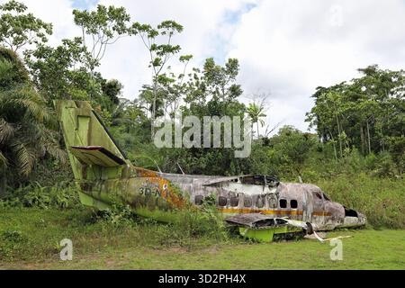 Restes d'un avion écrasé dans la forêt tropicale de Guinée équatoriale Banque D'Images