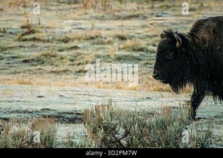 Commencer dès le matin Banque D'Images