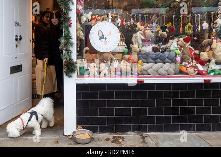 Londres, Royaume-Uni, le 23 novembre 2025, Un petit chien blanc se tient devant la porte d'un magasin de fournitures pour animaux de compagnie décoré pour Noël, à côté d'un bol d'eau, AS Banque D'Images