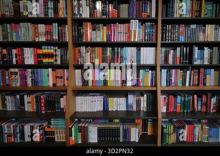 Piles de rangées pour vitrines de librairie. Livres d'éducation contexte. Banque D'Images