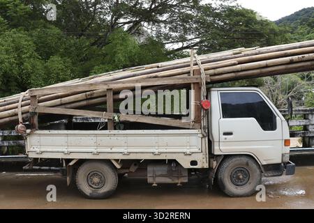 La petite camionnette blanche transporte de longs poteaux en bois. Sa lourde charge se déplace le long de la route rurale, livrant du bois pour les projets de construction. displa du véhicule Banque D'Images