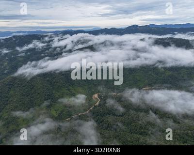 Vue aérienne sereine du paysage de forêt de montagne brumeuse avec du brouillard couvrant la vallée de la jungle verte. belle et vaste scène sur la cime nuageuse des arbres avec sense o Banque D'Images