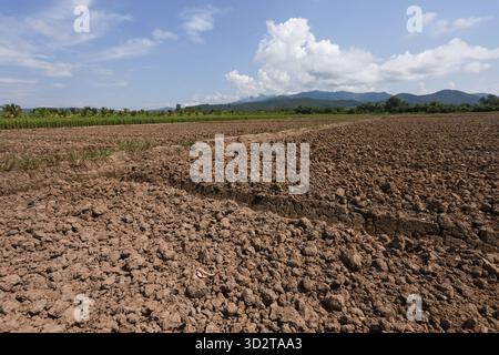Vaste champ labouré avec un sol brun riche et un sillon prêt pour la plantation. vue sur le paysage agricole tranquille avec montagne lointaine, végétation verte, et Banque D'Images